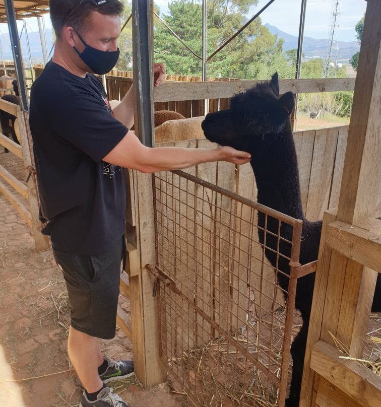 The Alpaca Loom Coffee Shop & Weaving Studio-Suider Paarl必去景点