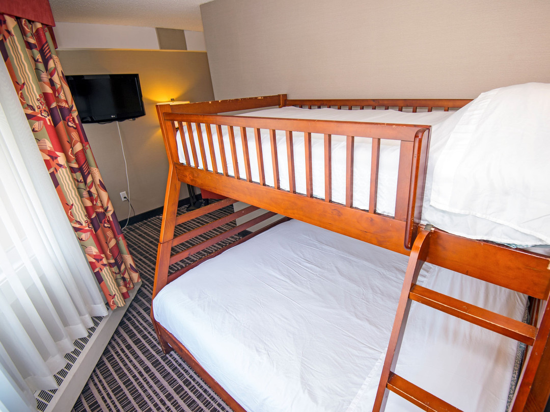 Holiday Inn Express Red Deer By IHG主图