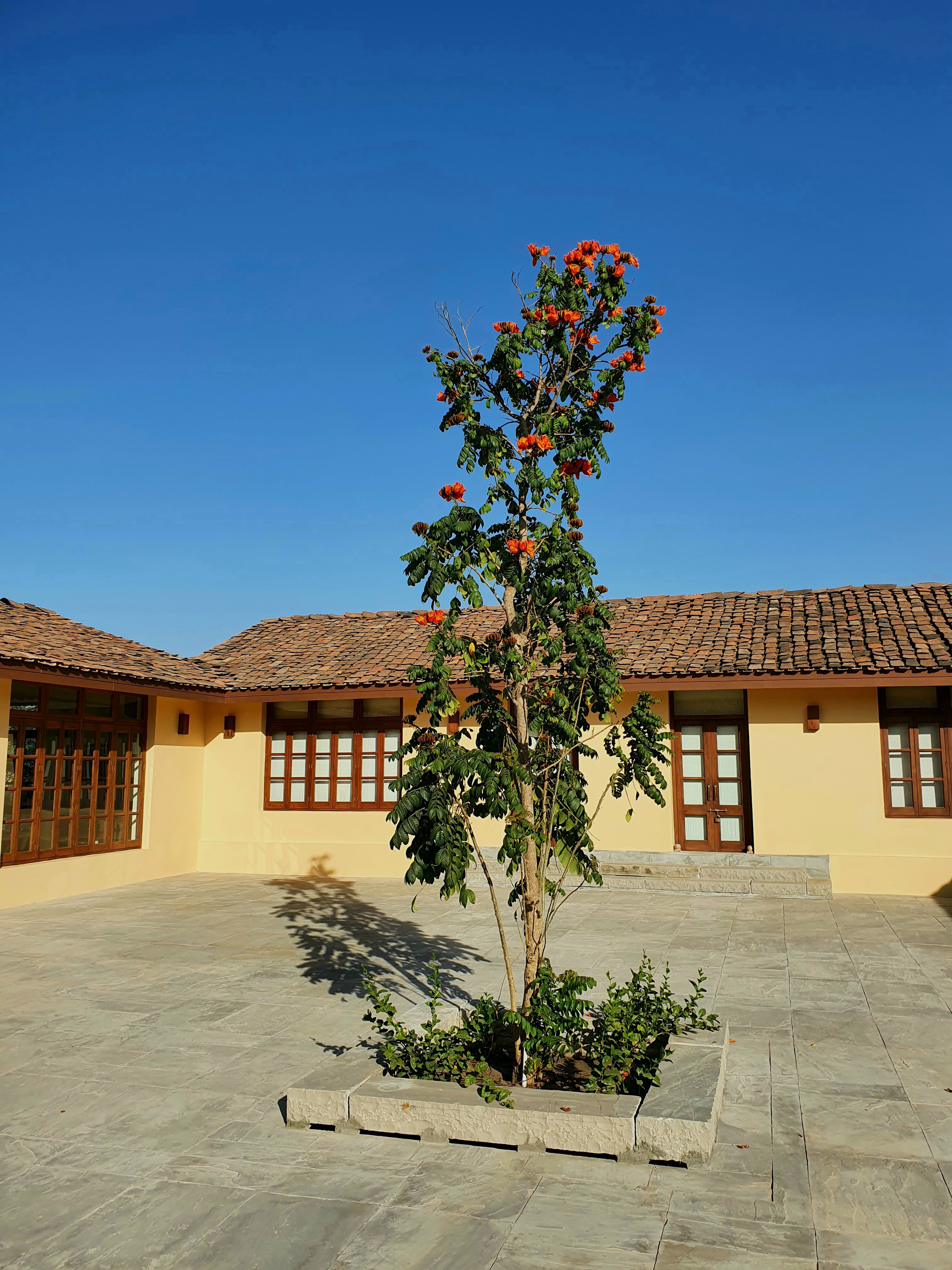 Bijapur Lodge - Jawai-portrait