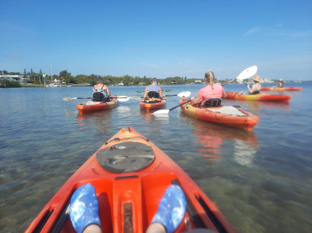 Happy Paddler Kayak Tours & EcoVentures景点图片