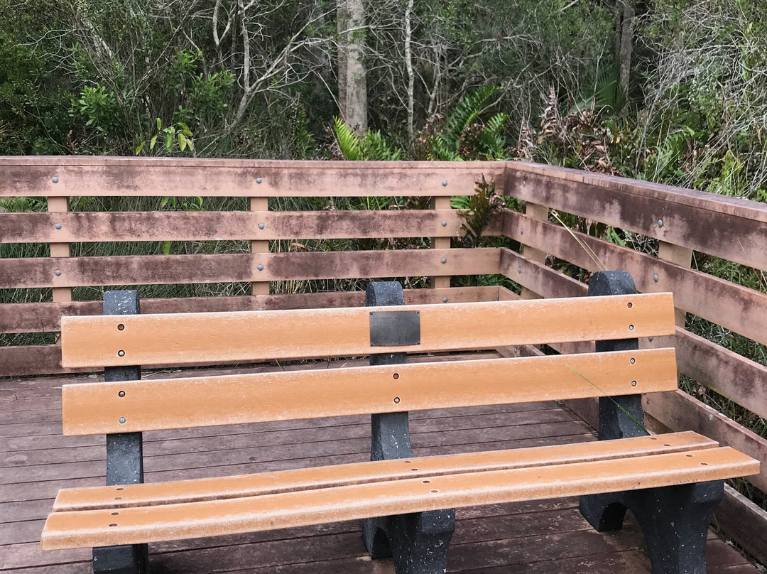 Caloosahatchee Creeks Preserve East-North Fort Myers必去景点