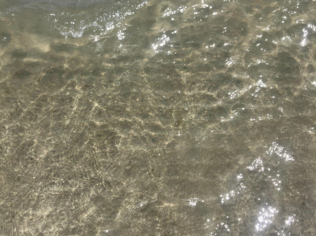 Pontinha Beach景点图片