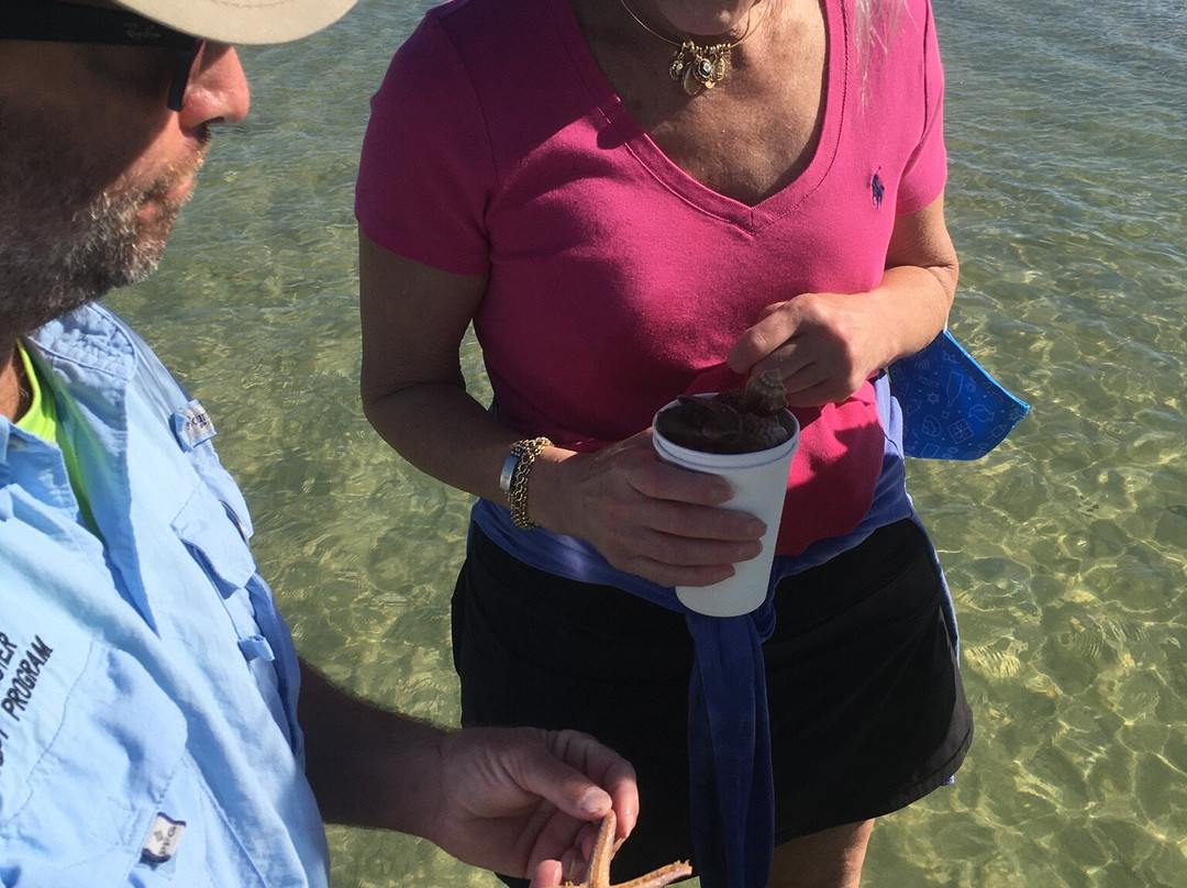 大海之歌酒店主图