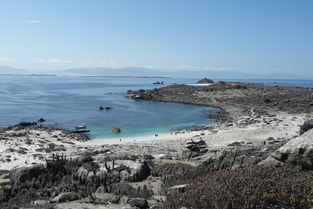 Isla Damas-拉塞雷纳必去景点