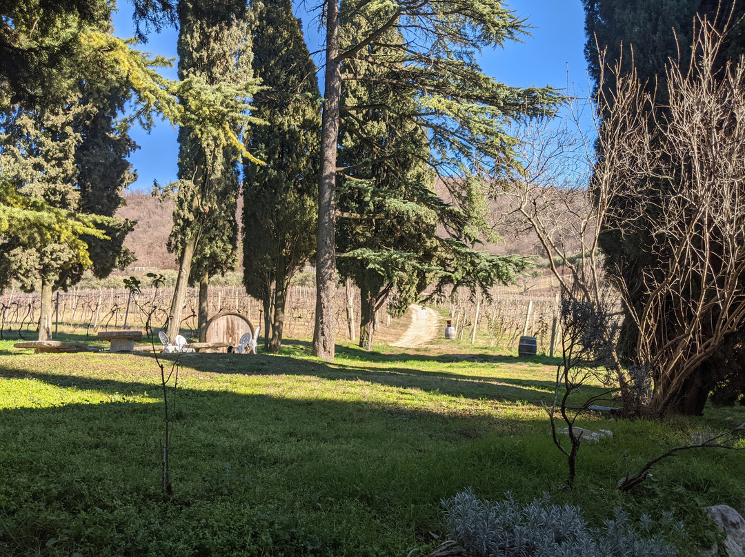 Massimago Winery and Country Relais主图
