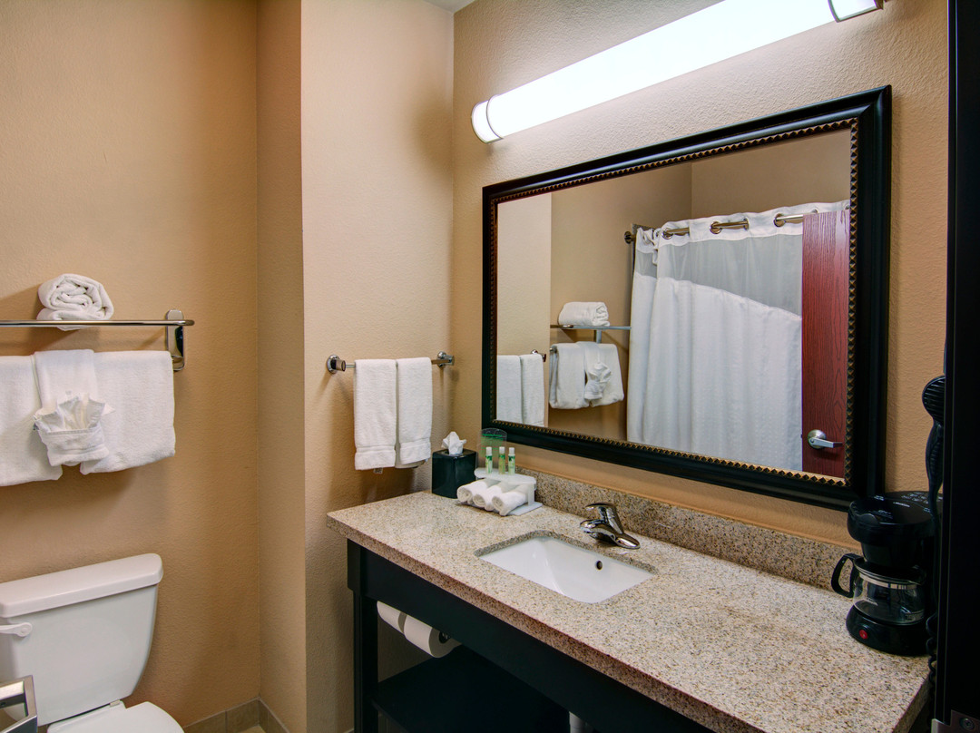 帕里斯快捷假日&套房酒店主图