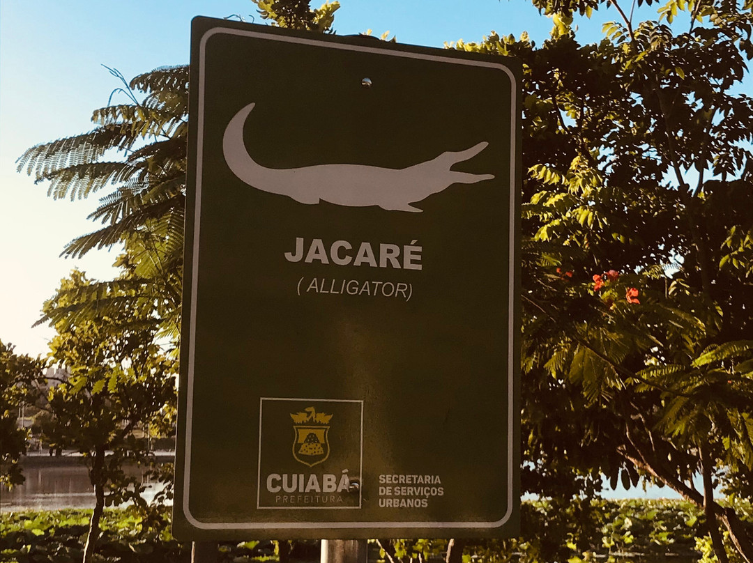 Parque Das Águas Seo Fiote景点图片