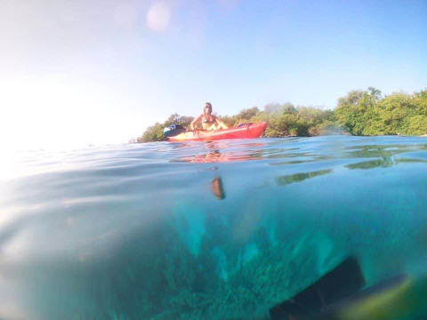 Bay Side Adventures-库克船长必去景点