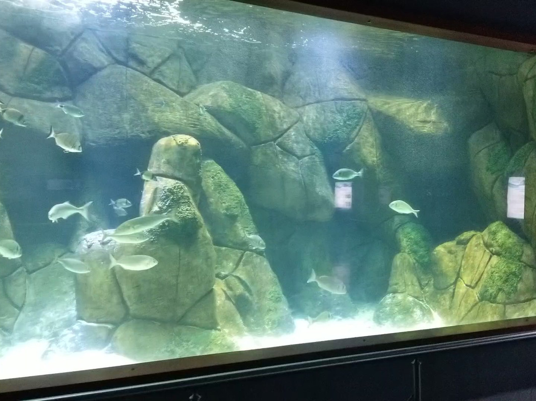 Deniz Dunyasi-安卡拉必去景点