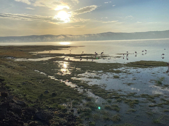 Rhino Explorer Tours & Safaris-Mto wa Mbu必去景点