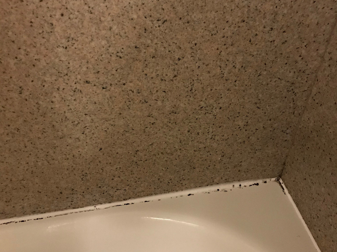 Sonesta Essential Beaumont主图