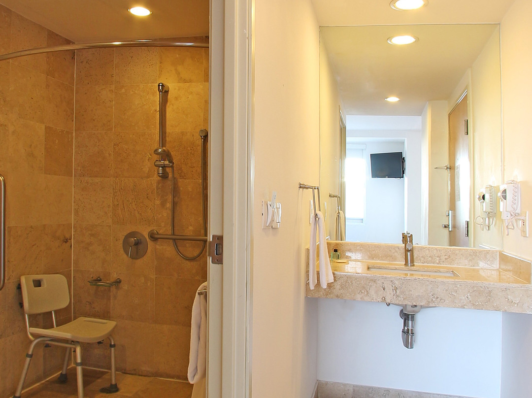 One Querétaro Plaza Galerías主图