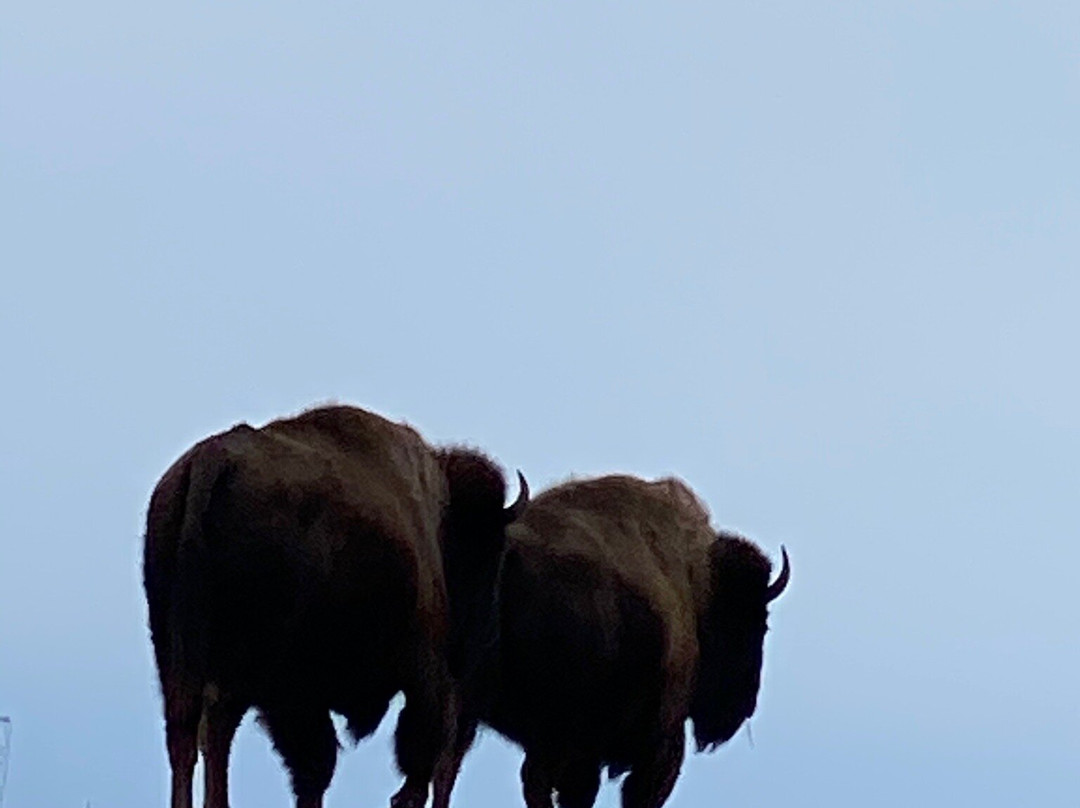 Neal Smith National Wildlife Refuge and Prairie Learning Center-Prairie City必去景点