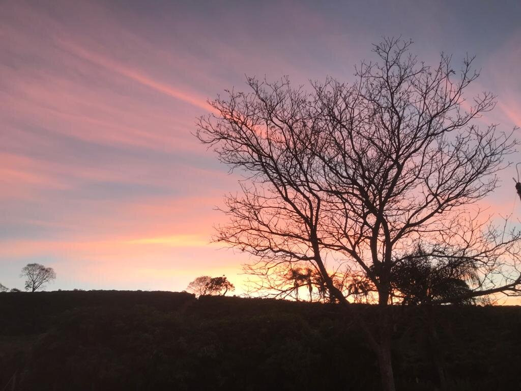 Cachaça Dona Diva-波苏阿雷格里必去景点