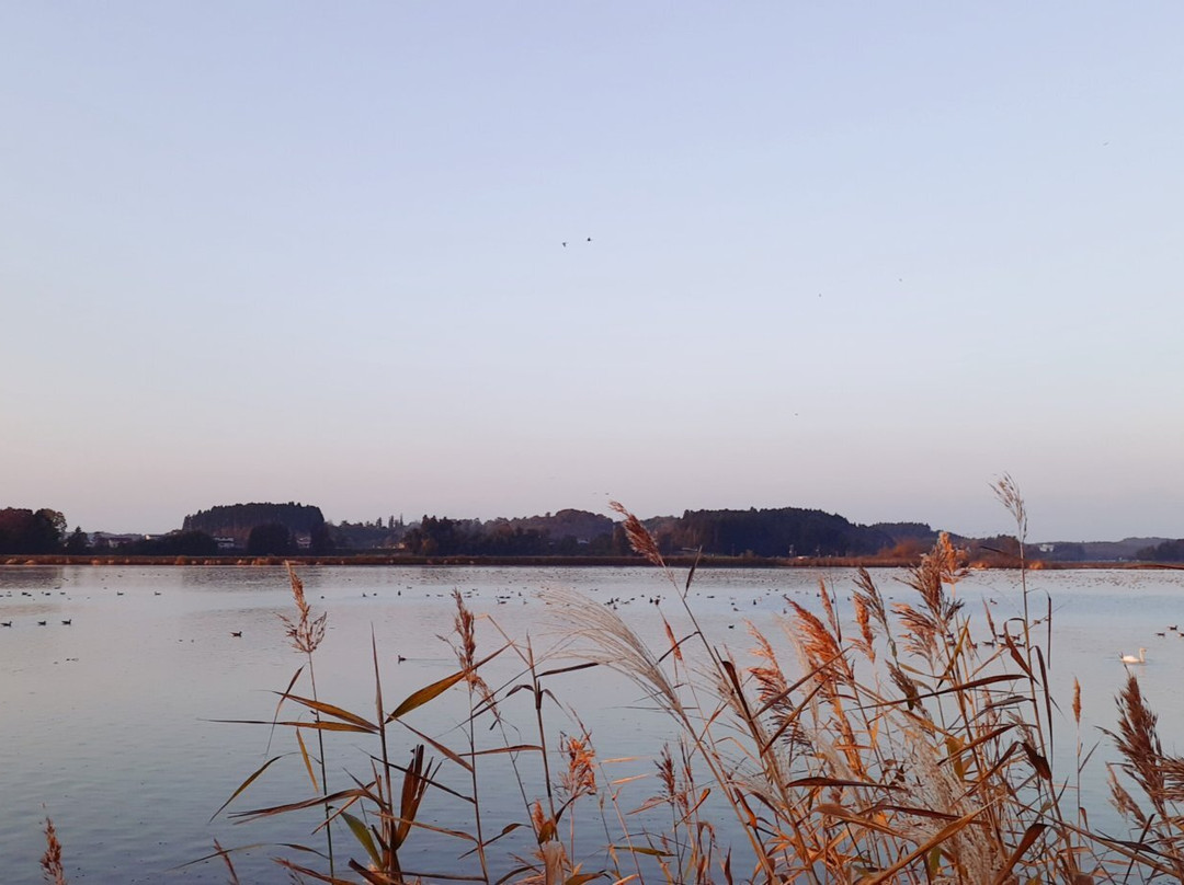 Izunuma and Uchinuma Swamp-栗原市必去景点