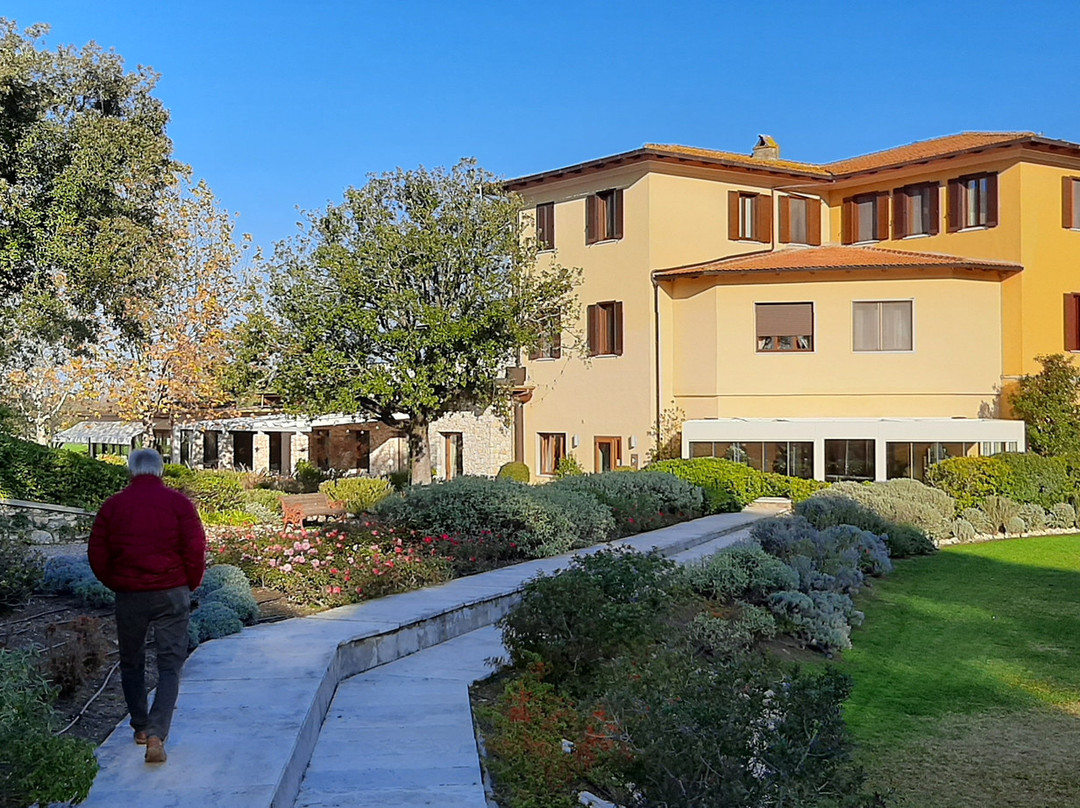 San Giovanni Terme Rapolano主图
