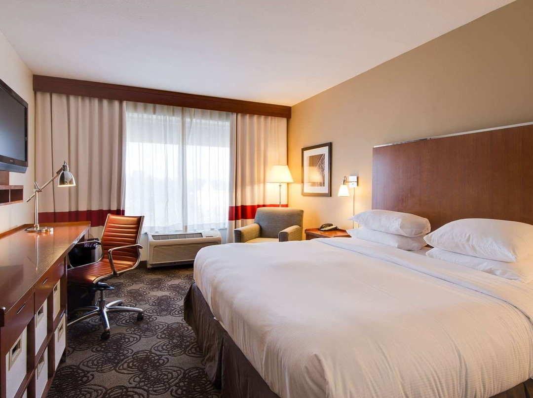 拉雷卡里希尔顿逸林酒店主图