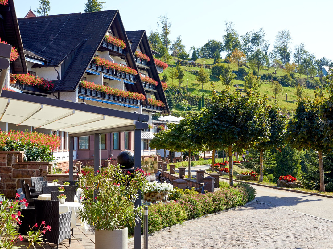 Kniebis餐馆和美食-Hotel Dollenberg