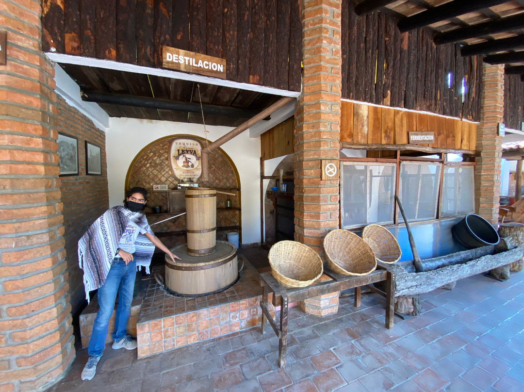 Mama Lucia-Mismaloya必去景点