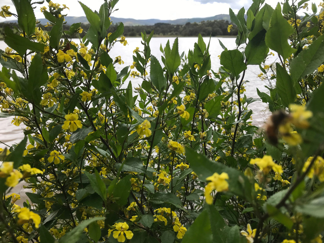 Lake Hyland-Churchill必去景点