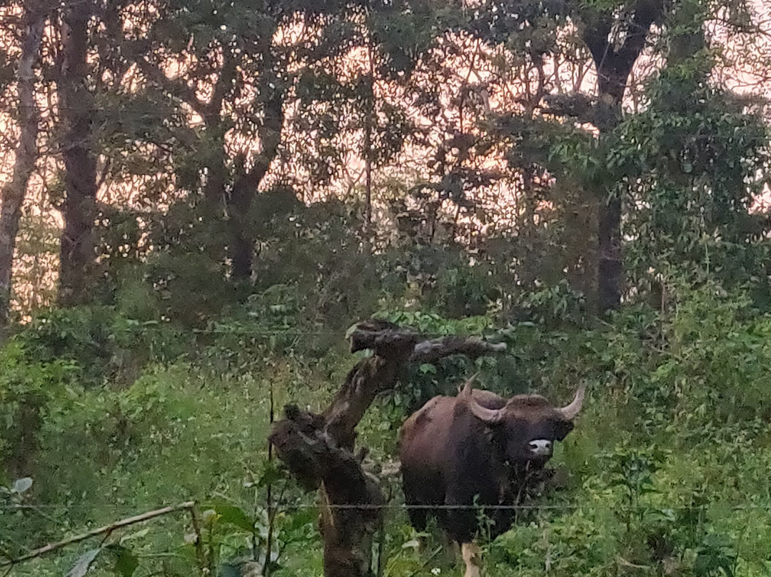 Kalgreen Valley Resort主图