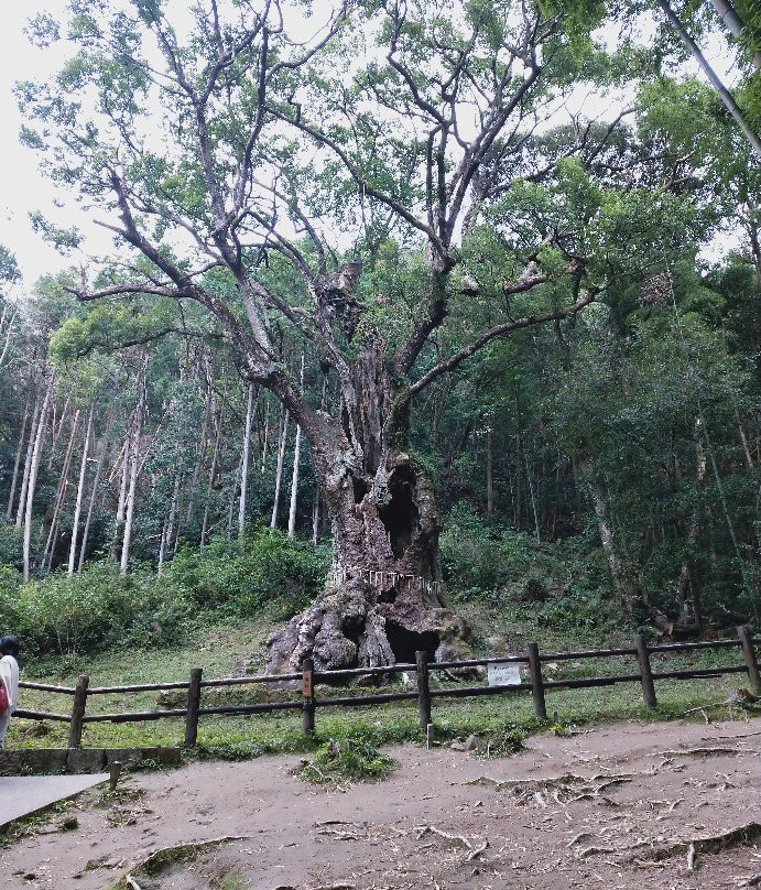 Takeo no Okusu-武雄市必去景点