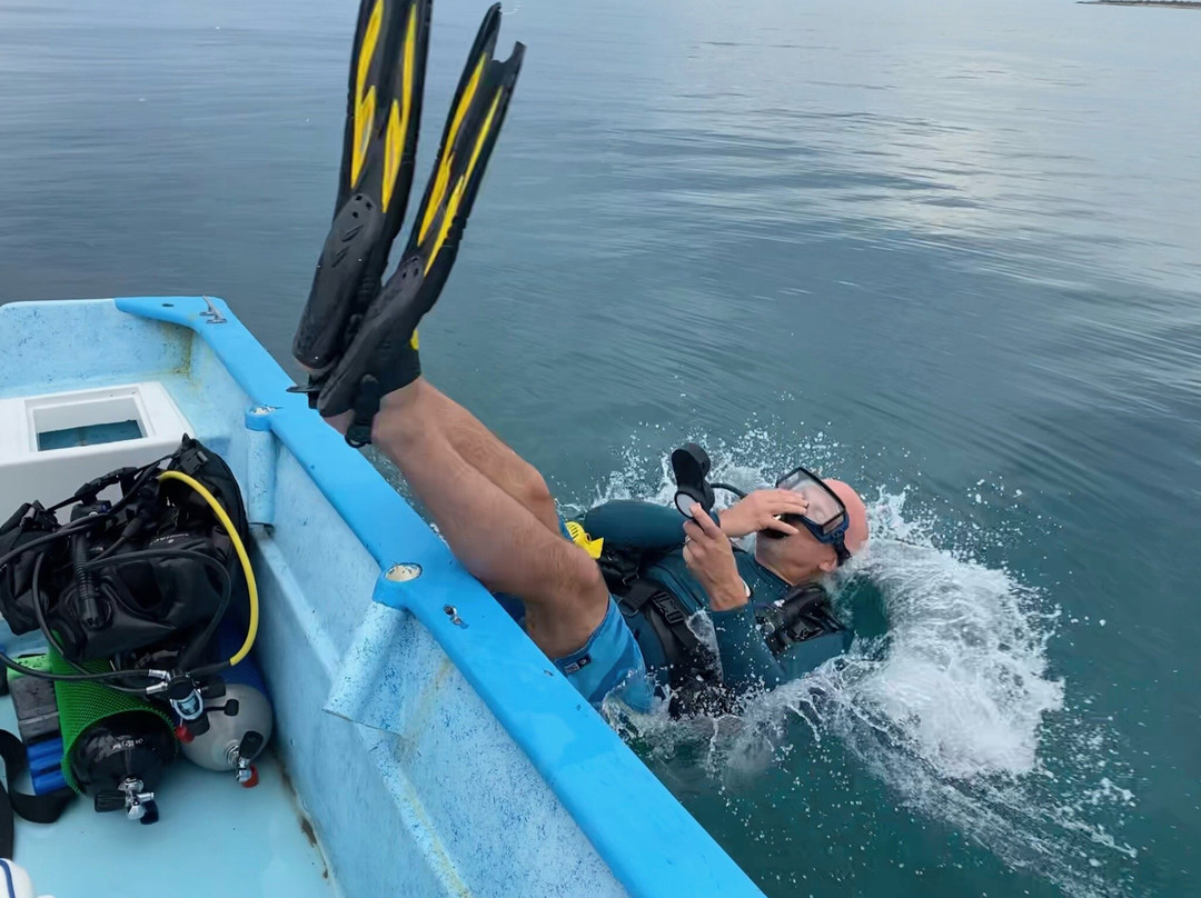 Dive In Baja-Los Barriles必去景点