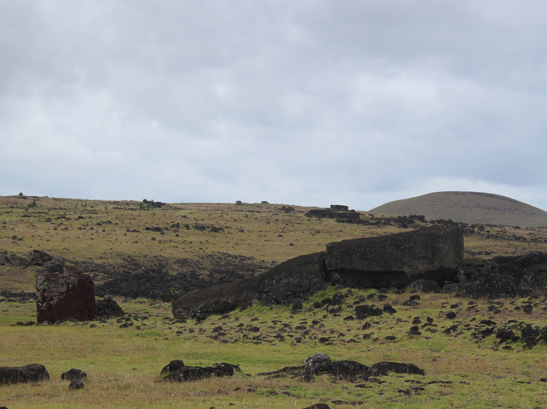 Ahu Te Pito Kura景点图片