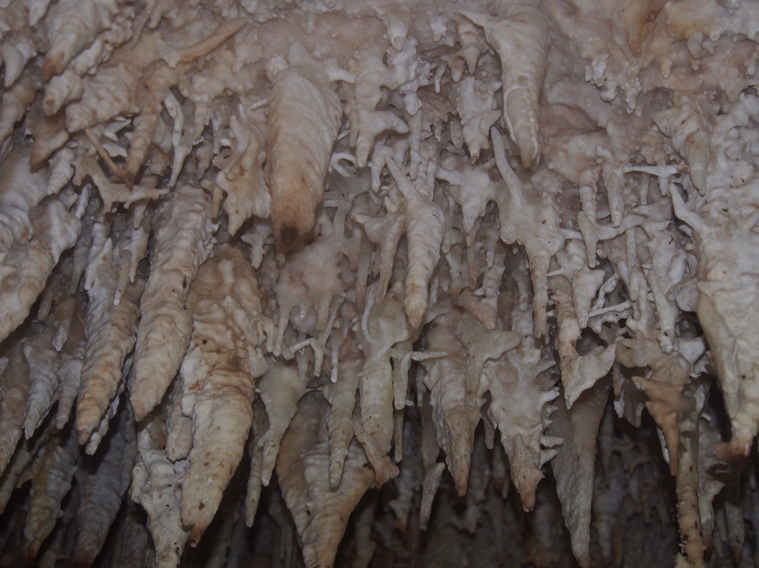 Barcadera Cave Kralendijk景点图片