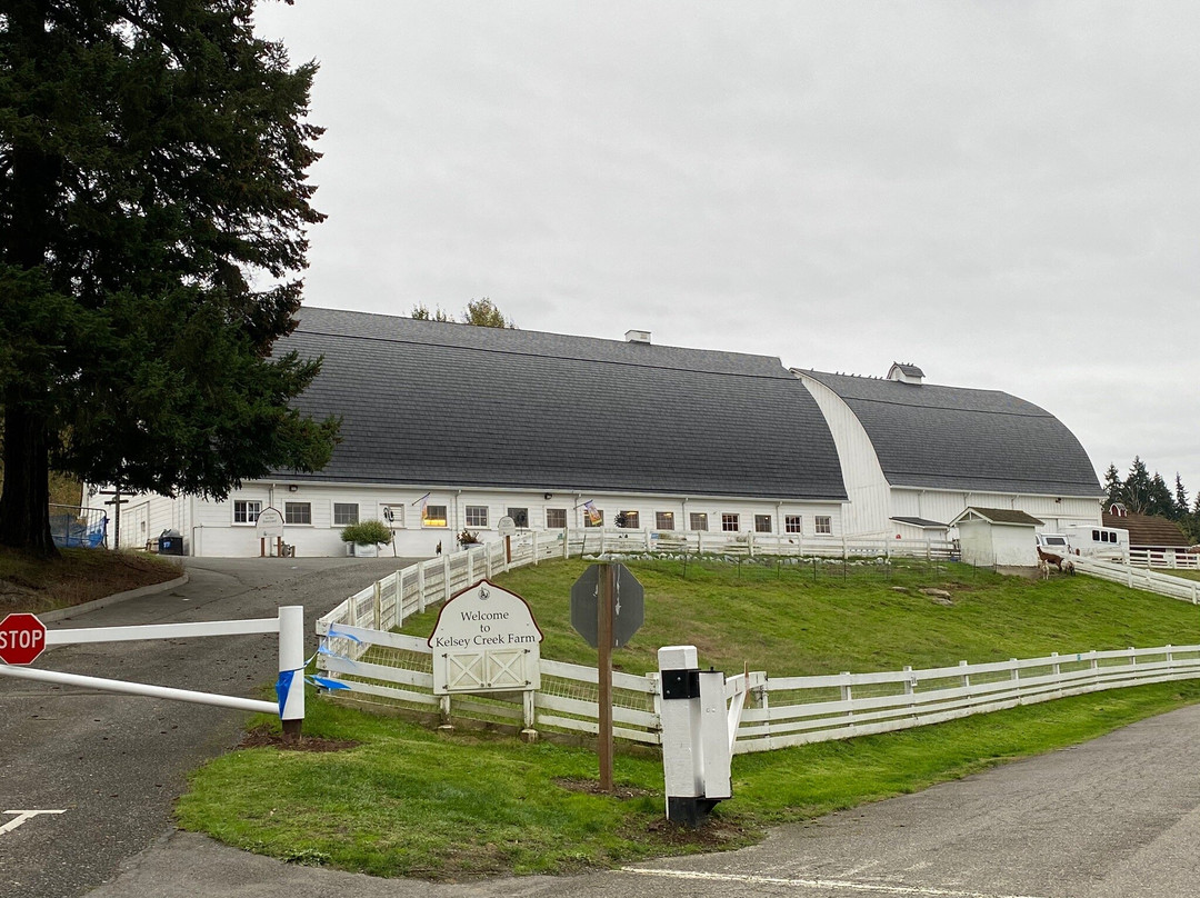 Kelsey Creek Park & Farm景点图片