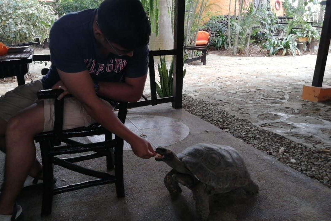 Hosteria  Ecologica El Faro主图