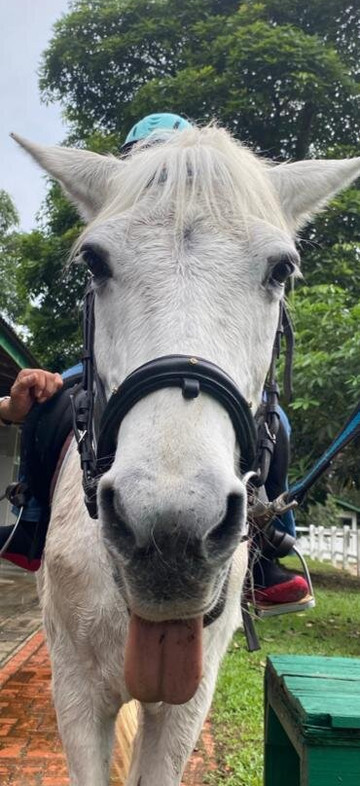 Rider's Resort主图