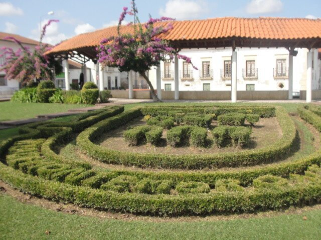 Parque Municipal da Juventude景点图片