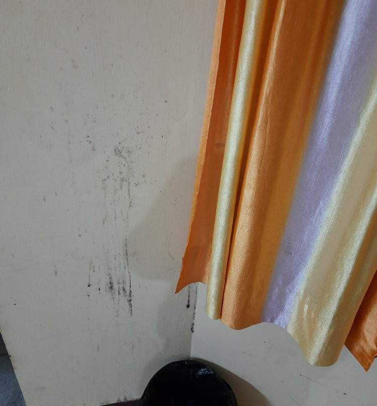 Hotel Snow View主图