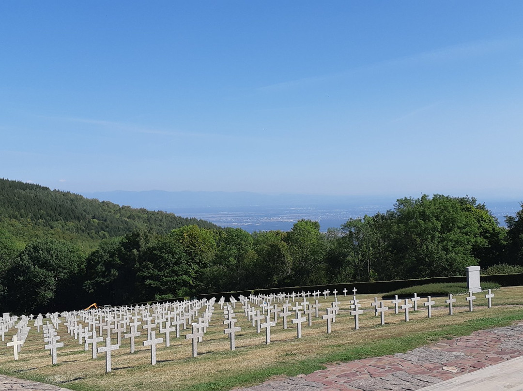 Musée Memorial du Vieil Armand景点图片