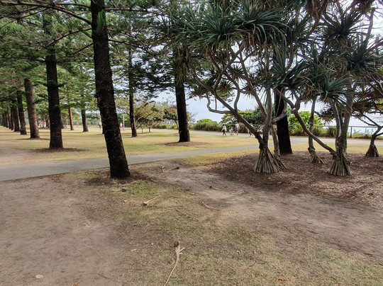 Reg Chesters Park-伯利角必去景点