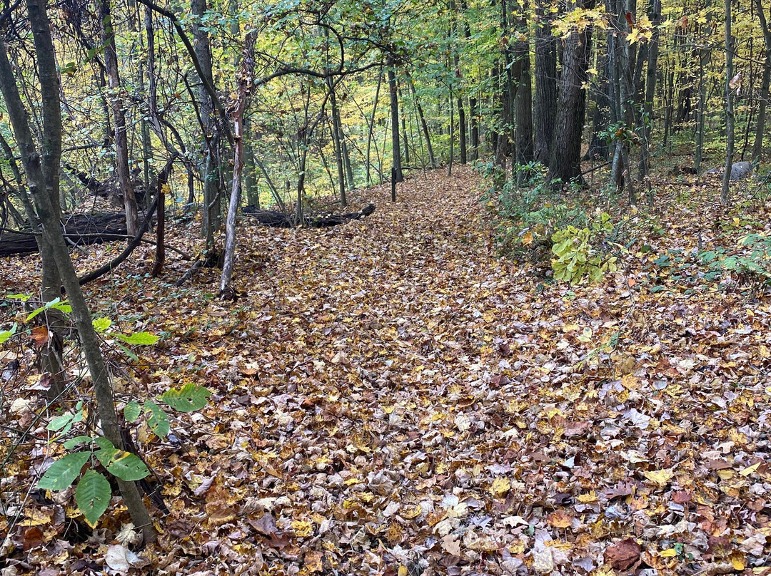 Swine Creek Reservation-Middlefield必去景点