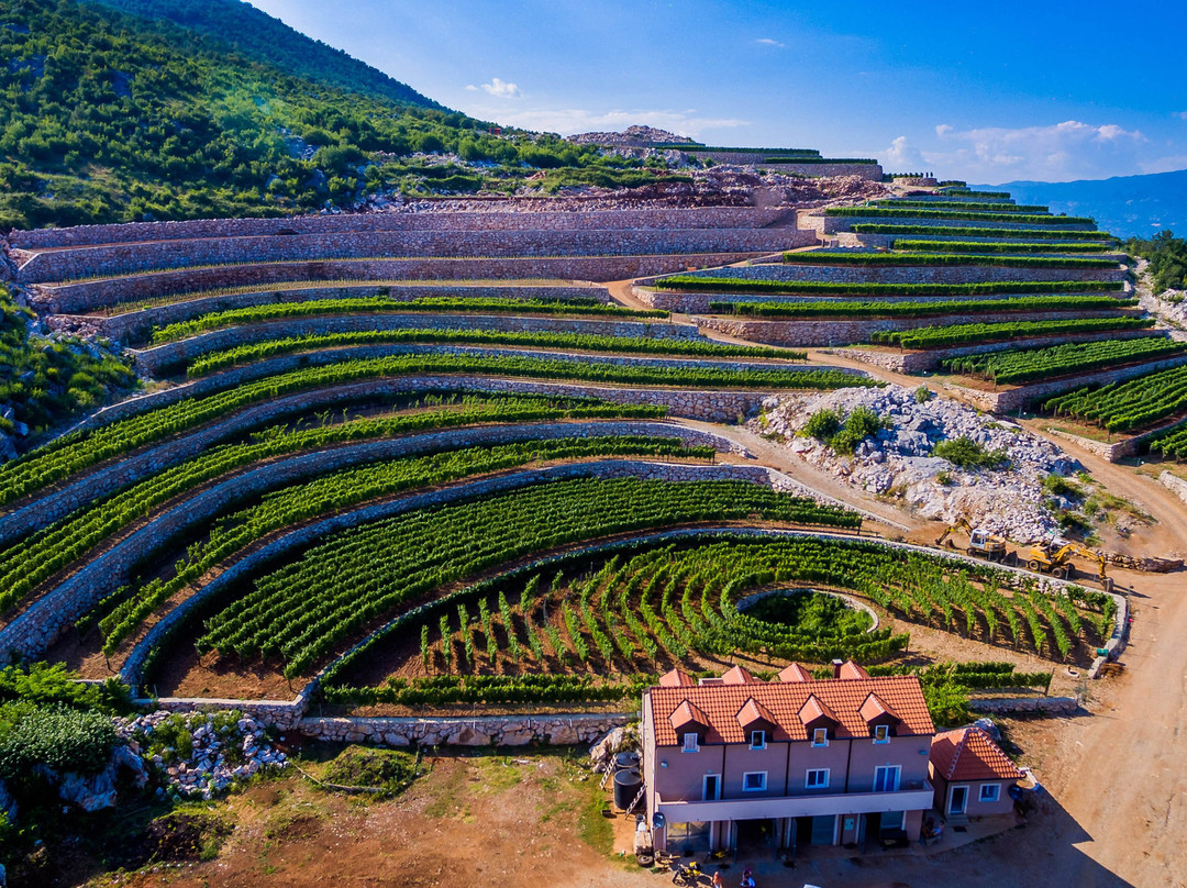 Wine Tasting at Winery Lipovac-Rijeka Crnojevica必去景点