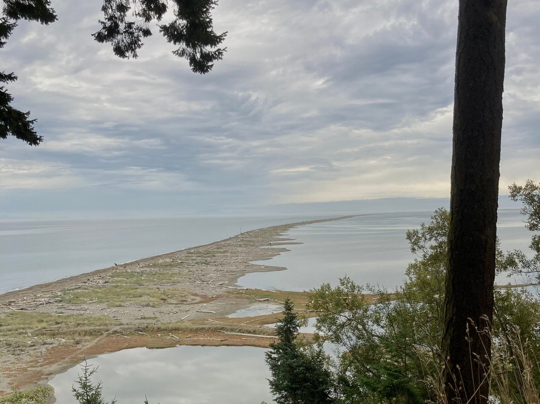 Dungeness National Wildlife Refuge景点图片