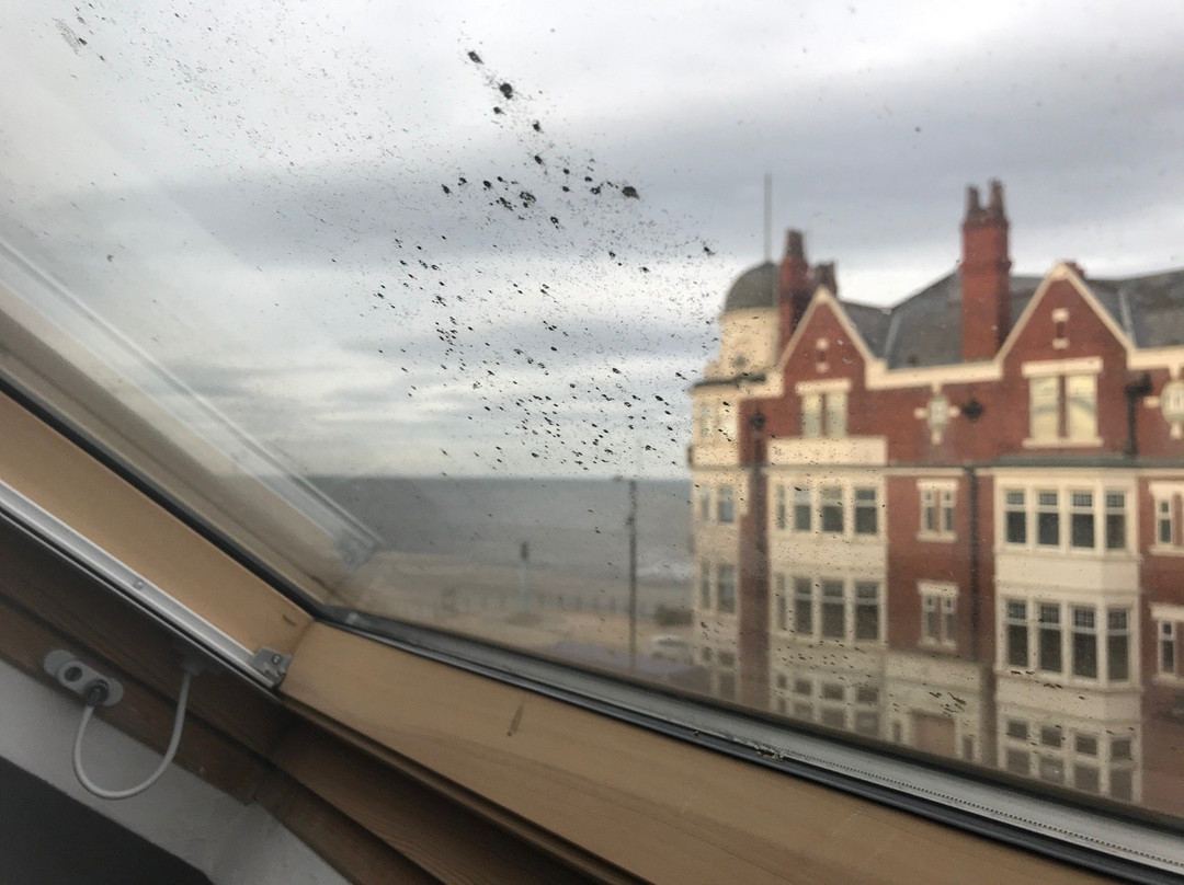 Hotel 52 Whitley Bay, Sure Hotel Collection by Best Western主图