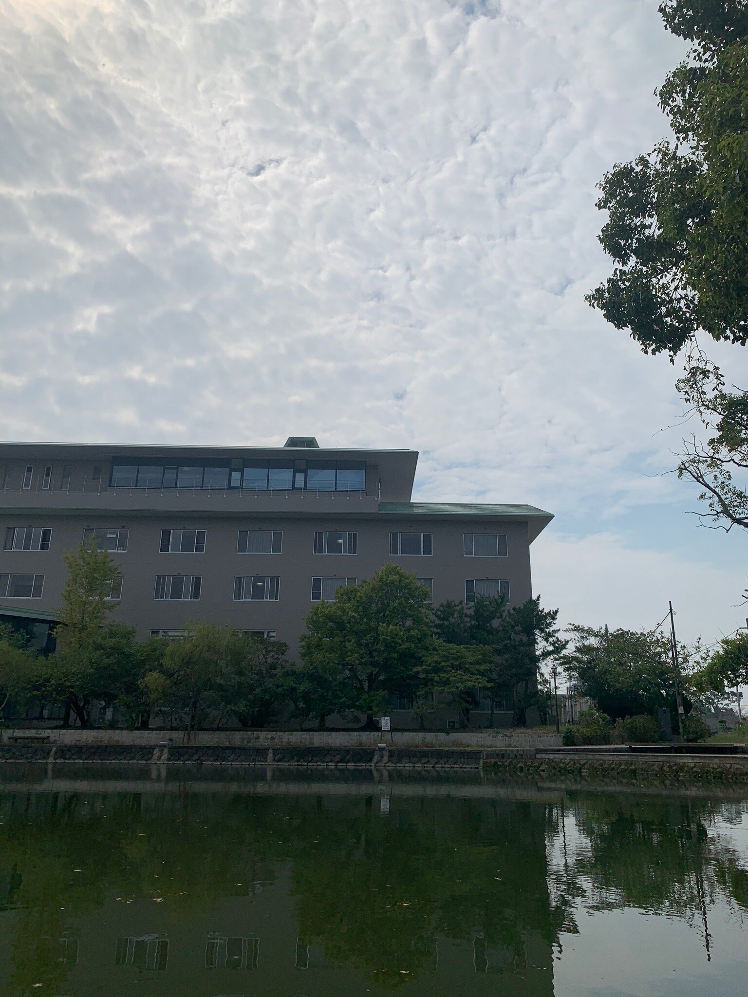 KAMENOI HOTEL YANAGAWA-官方