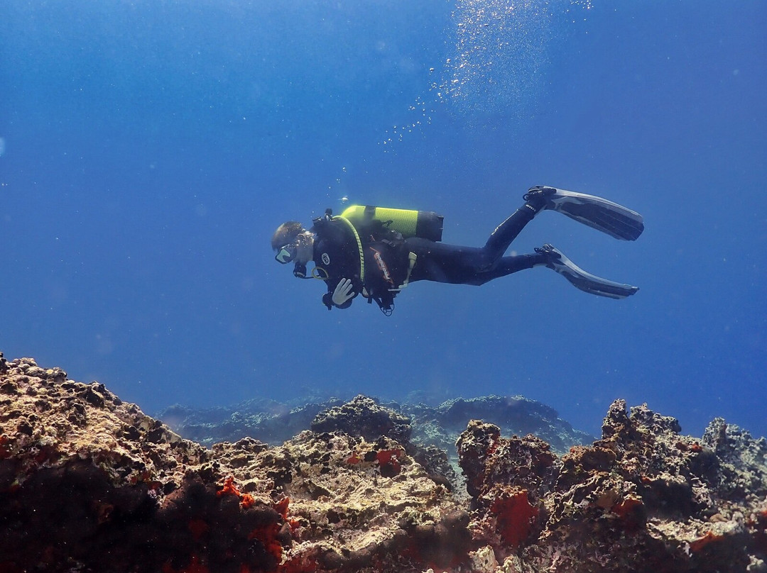 Nautilus Dive Center-Ilioupoli必去景点