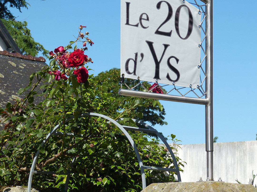 Le 20dYs主图