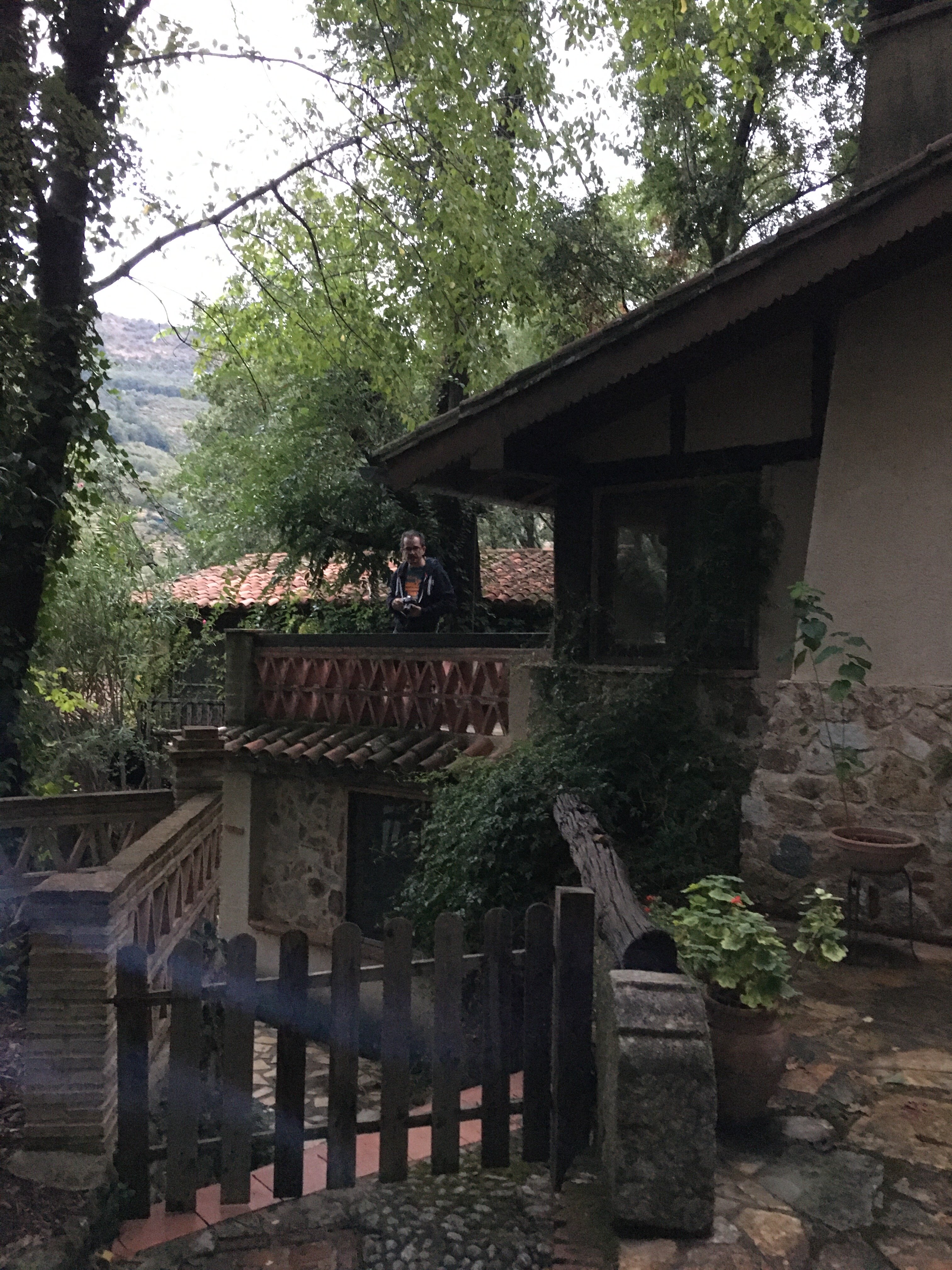林中小屋乡村旅馆-官方