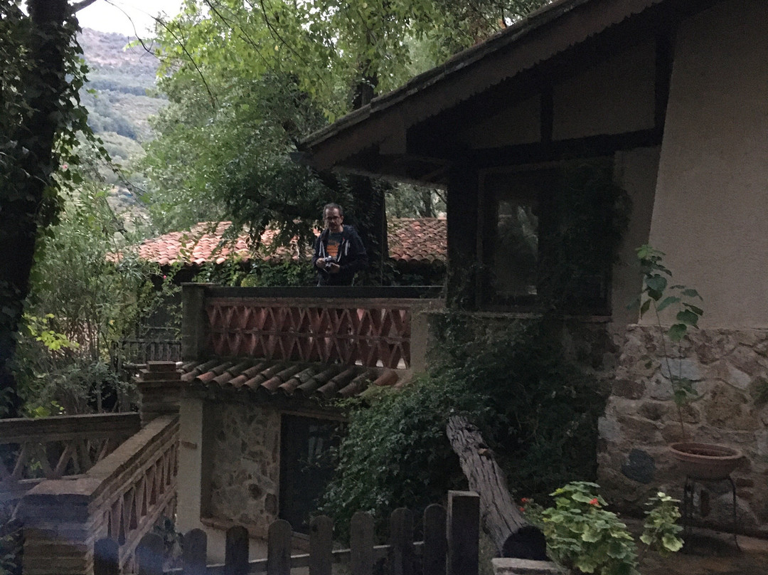 林中小屋乡村旅馆主图