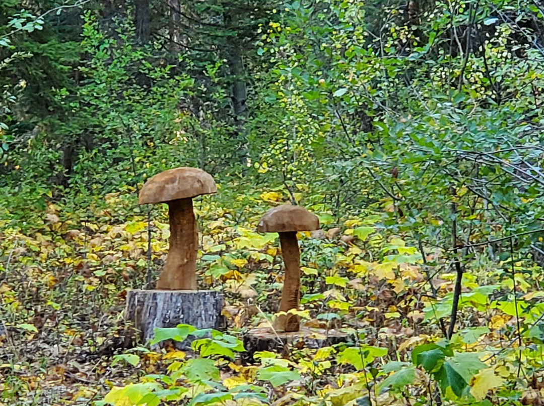 The Way Less Traveled Bed & Breakfast主图