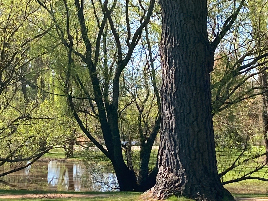 Malmsbury Botanic Gardens-Malmsbury必去景点