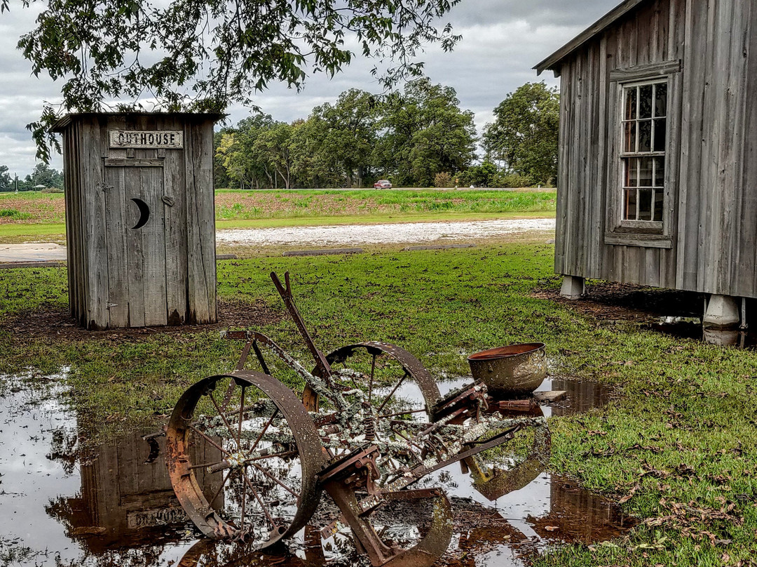 Louisiana State Cotton Museum景点图片