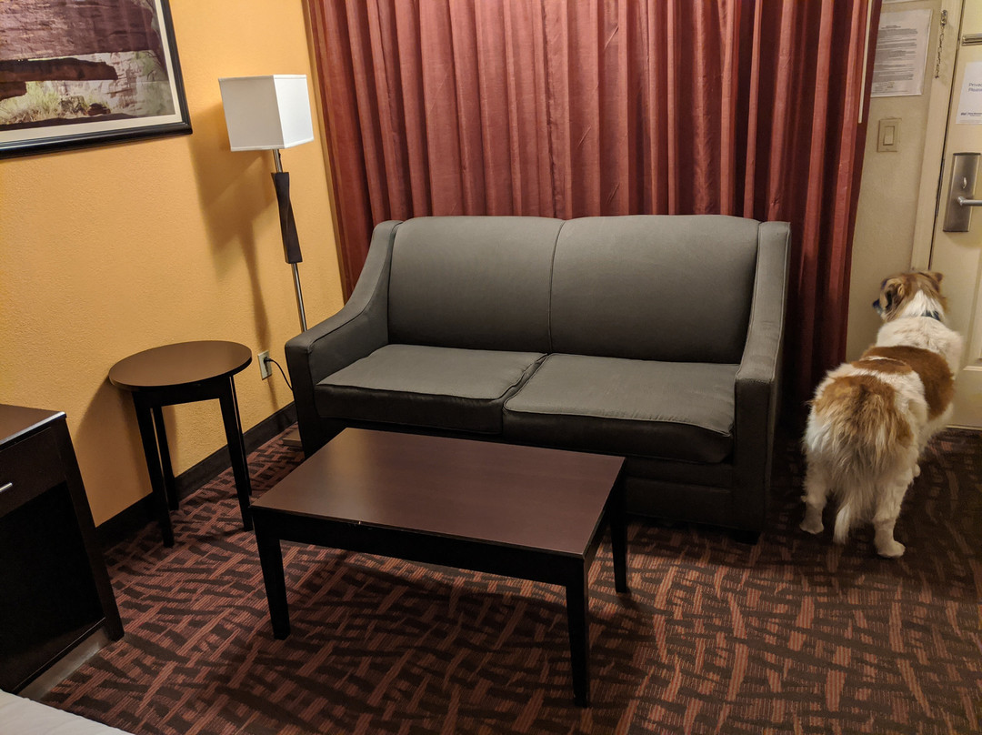 Best Western Arizonian Inn主图