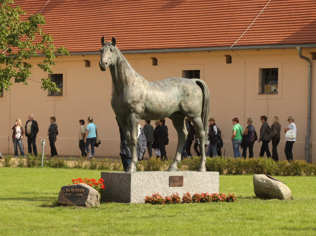 Neustadt (Dosse)旅游攻略图片